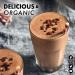 Buy Bluebonnet Nutrition Organic Plant Protein - 18g Protein Vegan Non-GMO Gluten-Free Chocolate Flavor - 1 LB - Buy Online on GoSupps.com