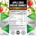 Vegan Apple Cider Vinegar Gummies 1000mg - Detox Cleanse & Immune Support | Gluten-Free Non-GMO Keto Supplement with B12, Folic Acid | 120 Gummies (60 Day Supply) - Buy Online on GoSupps.com
