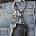 TISUR Swivel Key Ring Clips - 360 Rotatable Metal Carabiner for Keychains | Small Key Chain Rings for Jewelry Making | D Ring-Matte Keychain Holder Accessories - Buy Online on GoSupps.com