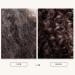 100% Pure Cold Pressed Castor Oil - 5000ml | Beard & Hair Growth | Skin Care & Collagen Production | Vegan Herbal Solution - Buy Online on GoSupps.com