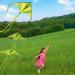 JOYIN Large Delta Kite 2-Pack - Easy-to-Fly Green and Rainbow Kites for Kids and Adults | Includes 262.5 ft Kite String | Perfect for Outdoor Games - Buy Online on GoSupps.com