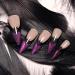 Halloween Bats Press-On Nails | 24 Pcs Glossy Purple Glitter French Tips | Long Stiletto Acrylic Fake Nails for Women & Girls - Buy Online on GoSupps.com