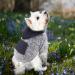 Waterproof Dog Coat - Warm Winter Jacket for Puppies & Small Dogs | Fleece Hoodie & Autumn Clothing - Buy Online on GoSupps.com