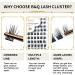 72 Count D Curl Individual Cluster Lashes | Natural Soft Fluffy DIY Lash Extensions - B&Q Lash Clusters | D-10mm B 36 - Buy Online on GoSupps.com