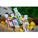 Lemonette Gourmet Lemon Dressing with Mediterranean Herbs - 12 fl oz - Buy Online on GoSupps.com