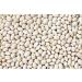 Hunza Organic Navy Beans 2 lbs - Premium Quality, Non-GMO (Pack of 1) - Buy Online on GoSupps.com