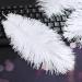 Natural White Ostrich Feathers 10-12inch - Pack of 12 for Wedding & Party Centerpieces - Easter Carnival Decor & Flower Arrangement - Home Decorations - White Feathers - Buy Online on GoSupps.com