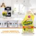 OdoBan Ready-to-Use Disinfectant & Odor Eliminator Set - Citrus Scent - 32oz Spray + 1 Gallon Concentrate - Buy Online on GoSupps.com