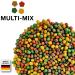 Multi-Mix Koi Futter 6mm - Premium 4 Varieties of Feed for Koi & Pond Fish with Salmon Oil Spirulina & Astaxanthin (5kg) | Balanced Nutrition for Healthy Fish - Buy Online on GoSupps.com