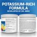 Dr. Berg Electrolytes Powder No Sugar - Enhanced w/ 1000 mg of Potassium & Real Sea Salt - Zero Sugar Electrolyte Powder - Raspberry & Lemon Flavor Hydration Powder Electrolytes - 50 Servings - Buy Online on GoSupps.com