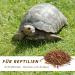 Supravit 10kg Dried Mealworms - Premium Bird & Hedgehog Feed | Perfect for Chickens Wild Birds Reptiles & Rodents - Buy Online on GoSupps.com