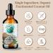 Bella Terra Oils - Organic Fractionated Coconut Oil 2 oz | Pure MCT Oil for Silky Skin | Ideal for Skincare & Haircare - Buy Online on GoSupps.com