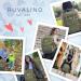Buy Ruvalino Baby Wrap Backpack - Multifunctional Diaper Bag with Portable Pad Pacifier Holder & Stroller Belts | Ideal for Moms & Dads - Army Green - Buy Online on GoSupps.com