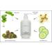 RAYA Aloe Cucumber Astringent 16 oz | Gentle Facial Toner for Dry & Sensitive Skin | Pore Tightening & Smoothing | Refines & Soothes Complexion | Ideal Pre-Makeup Skin Care - Buy Online on GoSupps.com
