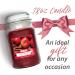 AIRPURE Large Candle Scented Apple Cinnamon Fragrance 18oz Jar 120 Hour Ornamental Candles Fill The Room with a Warm and Homey Fragrance for The Bedroom Bathroom Family Room or Office - Buy Online on GoSupps.com