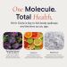 Berkeley Life Nitric Oxide Support Supplement - Nitric Oxide Booster for Men & Women - Blood Flow & Circulation with Beet Root Powder to Support Energy Heart Health & Healthy Blood Pressure- 30 Count 30 Count (Pack of 1) - Buy Online on GoSupps.com