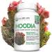 Allied Life Hoodia Gordonii Vegan Appetite Suppressant - 60 Capsules - Buy Online on GoSupps.com