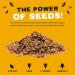 Honey Roasted Sweet Mix of Sunflower & Pumpkin Seeds 450g - Gluten & Wheat-Free Protein Snack with Fibre & Vitamin E for Kids & Adults | Munchy Seeds - Buy Online on GoSupps.com