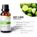 Citrus Essential Oil Set - Pack of 3 (1 oz) | Pure Therapeutic Grade Lime Clementine Grapefruit | International Shipping Available - Buy Online on GoSupps.com