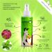 Moofurr Dental Spray for Dogs 100ml - Natural Mint Tooth & Tartar Remover - Optimal Dog Dental Care - Buy Online on GoSupps.com