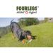 Buy Fourles Natural Kausnack for Dogs 100% Deer Antlers XL 5-Pack | Healthy Chewing Treats with Minerals and Cotton Stuff - Buy Online on GoSupps.com