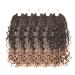 Melisay 5 packs Box braids crochet hair extensions curly 35.6 cm synthetic afro kinky braiding hair passion twist crochet hair goddess faux locs for black women-t27
