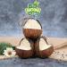 Lyra PET Coconut Filled Bird Feed | 3x4 Energy-Rich V-Cut | Nutrient-Dense All-Year Fat Feed - Buy Online on GoSupps.com