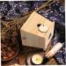 Beavorty 5-St Moxibustion Box Wooden Moxa Holder & Burner Tool for Optimal Healing - Buy Online on GoSupps.com