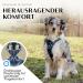 Freudentier Breathable Dog Harness | Comfort Padded & Secure | Anti-Drawing for All Dog Sizes | Let s Get Foxy Collection - Buy Online on GoSupps.com