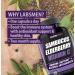 Sambucus Elderberry Zinc Vitamin C Supplement - Immune Support for Adults - 2 Month Supply - Buy Online on GoSupps.com