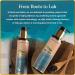 Black Sesame Seed Oil - Cold-Pressed Body Massage Oil with Wintergreen & Eucalyptus - Ayurvedic Herbal Therapy 6.76 oz - Buy Online on GoSupps.com