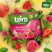 LOYD Tea - Raspberry and Strawberry (3 Pack ) - Buy Online on GoSupps.com