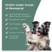 Buy Journey Tablets for Dogs - Green Lipped Mussel MSM Glucosamine & Devil Claw | 100 Pieces Made in Germany 6-Month Supply - Buy Online on GoSupps.com