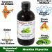 Buy Peppermint Essential Oil 4 oz | GC/MS Tested | Amber Glass Bottle | International Shipping Available - Buy Online on GoSupps.com