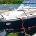 Bungee Dock Line Set with Stainless Steel Clip - 4FT&6FT Blue | For Boats, PWC, Kayak, Jet Ski, Pontoon, Canoe & Power Boat - Buy Online on GoSupps.com