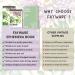 FAYWARE Washi Vintage Stickers and Papers - Botanical Ephemera for Scrapbooking and Journaling | 453 Stickers, 20 Papers | Forest Dreams - Buy Online on GoSupps.com
