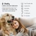 Chelity My Way Diffuser Oil Luxury Hotel Collection Fragrance Oil Inspired by The Hotel Miami Scent for Ultrasonic & Waterless Diffusers (5.1 My Way) MY WAY 5.1 Fl Oz (Pack of 1) - Buy Online on GoSupps.com