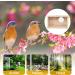 Budgies Nesting Box Transparent Design Bird Nest Nesting Box Wooden Parakeet Nesting Box Transparent Bird House for Cage Natural Wood Breeding Box for Parrots Lovebirds Budgies Finches - Buy Online on GoSupps.com