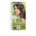 Naturtint Permanent Hair Color 6GM (Formerly 6.7) Chocolate Blonde (Pack of 1)  Ammonia Free  Vegan  Cruelty Free 6GM Chocolate Brown