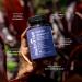 NutriRise Immunity Complex - Immune Support Supplement with Vitamin C, Zinc, Turmeric, Elderberry & Probiotics - 90 Capsules - Buy Online on GoSupps.com