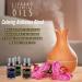 LIVAANO 100% Natural Essential Oils for Diffusers - 12 Aromatherapy Oils for Humidifiers | Lavender, Eucalyptus, Peppermint, Tea Tree & More - Buy Online on GoSupps.com