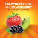 Metamucil Fiber Gummies Plus Probiotics | No Sugar Added Daily Supplement for Digestive Health | Plant-Based Prebiotic Fiber Blend | Strawberry Kiwi Blackberry Flavor - 90 Gummies - Buy Online on GoSupps.com
