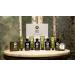 ROOTS AROMATHERAPY Eucalyptus Tea Amenity Kit - Travel Size Bulk Pack for Hotels, Motels, and Lodging - Buy Online on GoSupps.com