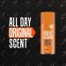Right Guard Sport Original Deodorant Aerosol Spray 8.5oz, 2 Pack - Long-lasting Protection - Buy Online on GoSupps.com