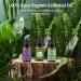 Vanilla Lavender Peppermint Essential Oils Set 100% Pure Premium Grade Natural Aromatherapy Oil Gift kit for Diffusers Home Care Candle Making Fragrance Aromatherapy Humidifiers Vanilla + Lavender + Peppermint 10.00 ml (Pack of 3) - Buy Online on GoSupps.com