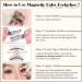 Magnetic Eyelashes Natural Look Reusable Magnetic Lashes with Applicator 3D Magnetic False Eyelashes without Eyeliner Wispy Fluffy Magnetic Lashes No Glue or Liner Needed (1 Pair Natural) - Buy Online on GoSupps.com