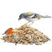 Paul's M hle Wild Bird Food - Year-Round 5 kg Pack for All Seasons - Premium Nutrition for Wild Birds - Buy Online on GoSupps.com