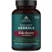 Ancient Nutrition Elderberry + Probiotics | Dr. Axe | 60 Capsules | Immune Support - Buy Online on GoSupps.com