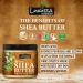 Raw African Shea Butter | Unrefined Hair & Body Moisturizer | Reduces Stretch Marks & Wrinkles | Nourishes Hair | 7.05 Oz (200g) - Buy Internationally - Buy Online on GoSupps.com