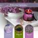 Lavender Scented Candle Gift for Women - 7oz Aromatherapy Soy Candle | 50 Hours Long Burn | Perfect Home Fragrance - Buy Online on GoSupps.com
